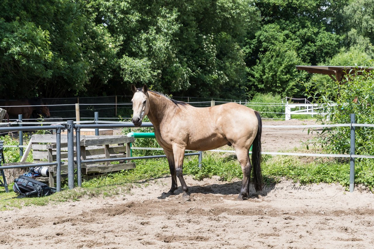 Bild 178 - Vivi